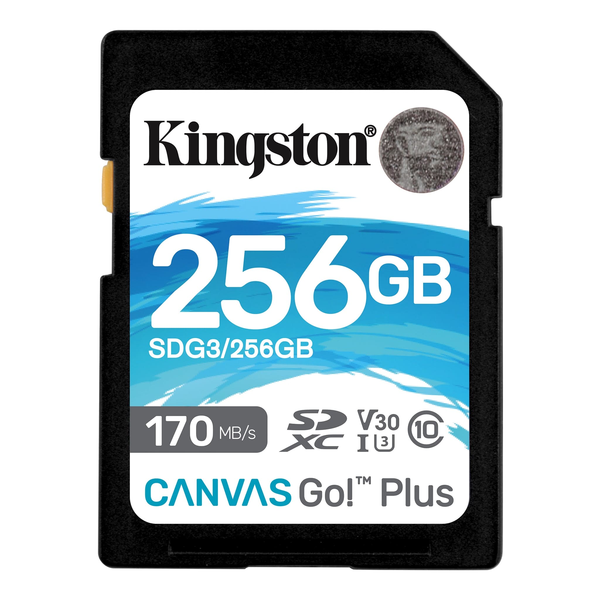 256GB Kingston SDXC U3 V30 170/90MB/s