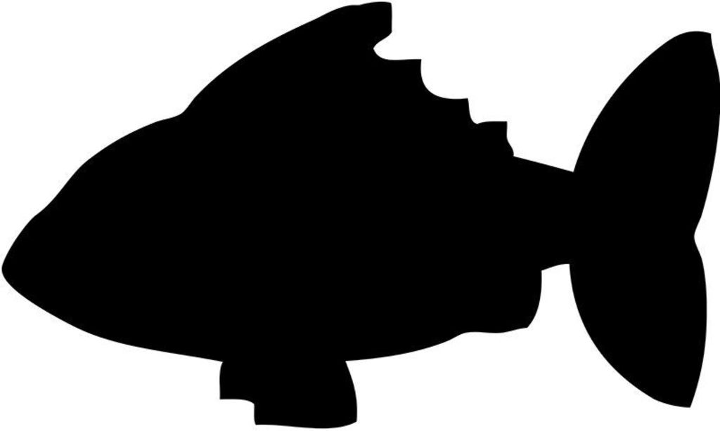 Popisovací tabule Securit Ryba, s popisovačem a lepící páskou, černá