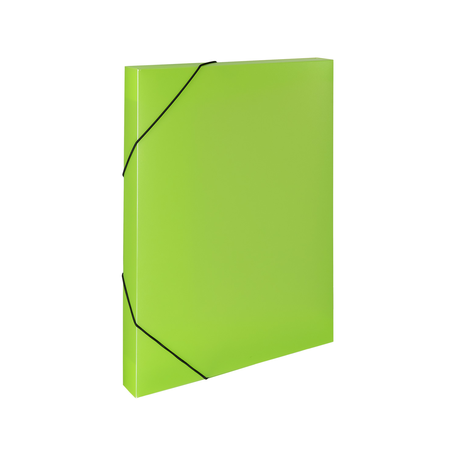 Krabice na spisy A4 s gumou Opaline, zelená