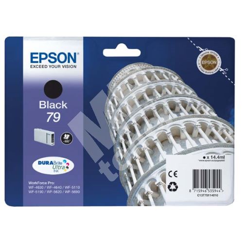 Cartridge Epson C13T79114010, 79L, black, originál 1