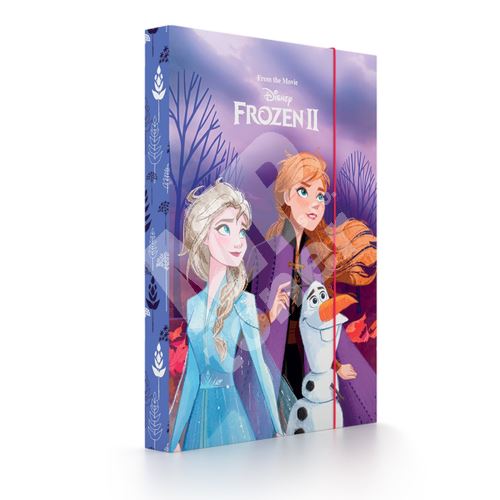 Box na sešity A4 Frozen 1