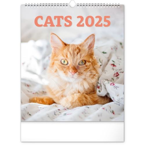 Nástěnný kalendář Notique Kočky 2025, 30 x 34 cm 1