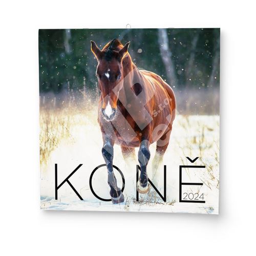 Nástěnný kalendář - Koně 1