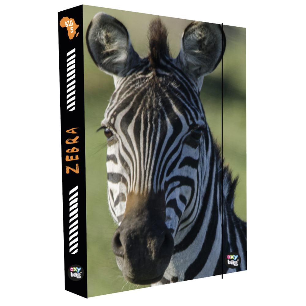 Box na sešity A4 Jumbo Zebra, tmavý