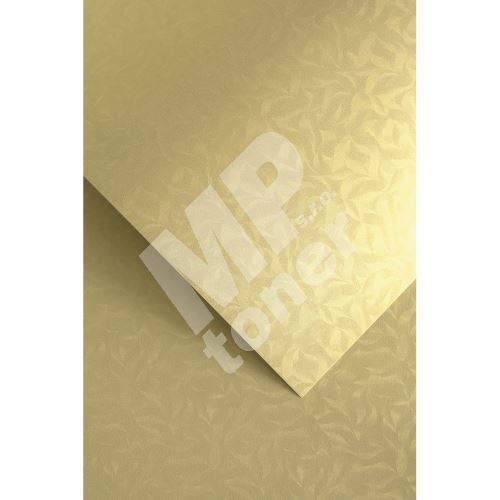 Ozdobný papír Olympia, zlatý, 220g, 20ks 1
