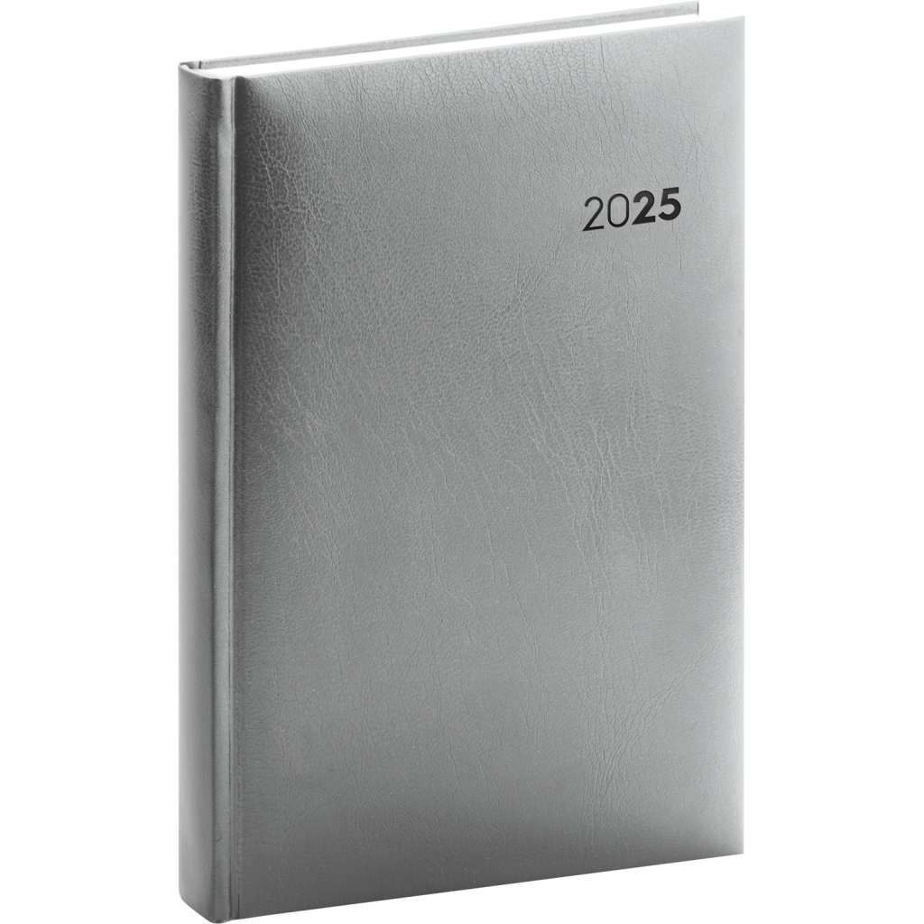 Denní diář Notique Balacron 2025, stříbrný, 15 x 21 cm