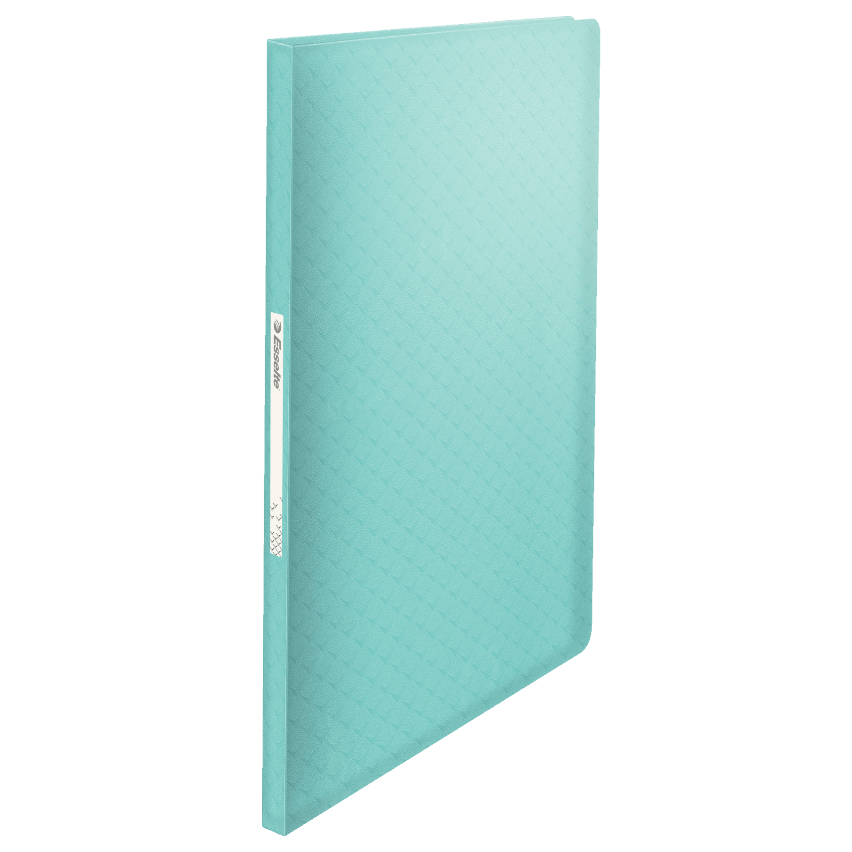 Katalogová kniha Esselte Colour'Ice A4, 40 kapes, modrá