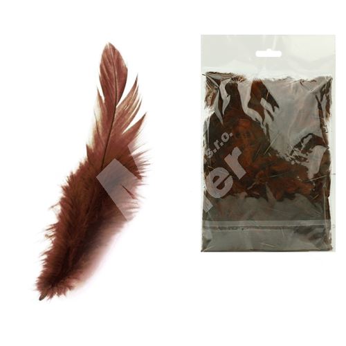 Peří barevné Luma, tmavě hnědé, 10g 1