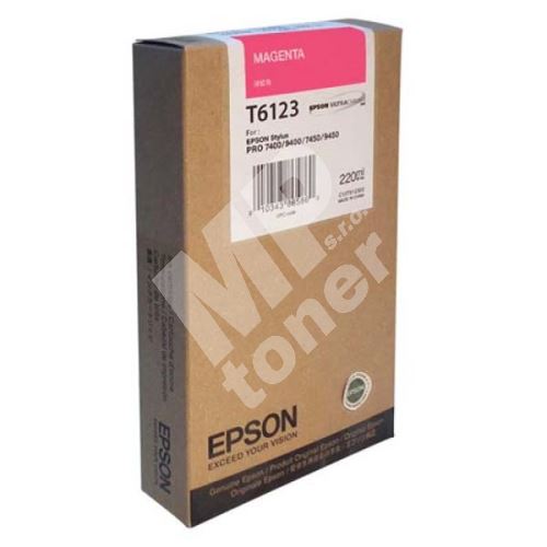 Cartridge Epson C13T612300, originál 1