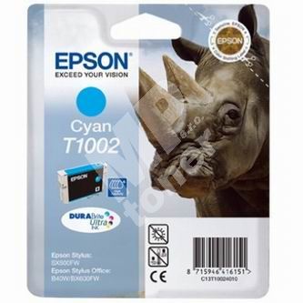 Cartridge Epson C13T10024010, originál 1