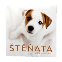 Nástěnný kalendář - Štěňata