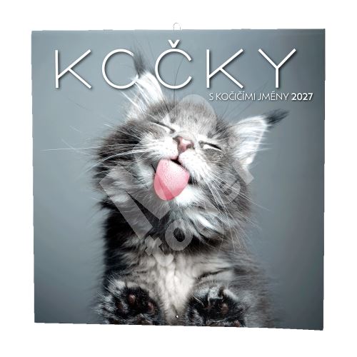 Nástěnný kalendář - Kočky 1