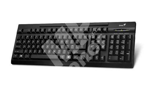 Genius klávesnice KB-125, USB CZ+SK, černá 1