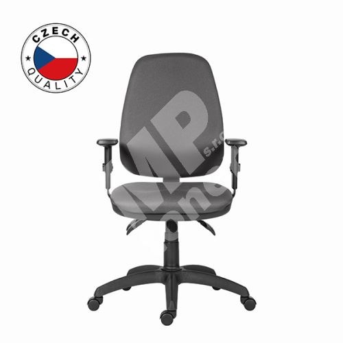 Kancelářské ergonomické křeslo Powerton Anna, šedé 1