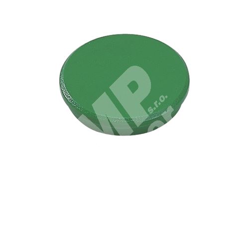 Magnet Dahle 32 mm zelený (4 ks) 1