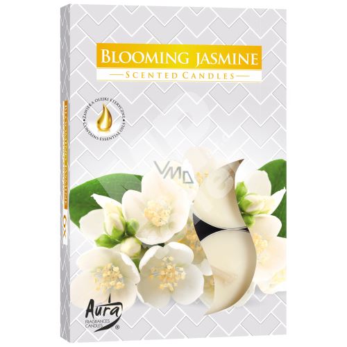 Bispol Aura Blooming Jasmine - Kvetoucí jasmín vonné čajové svíčky 6 kusů 1