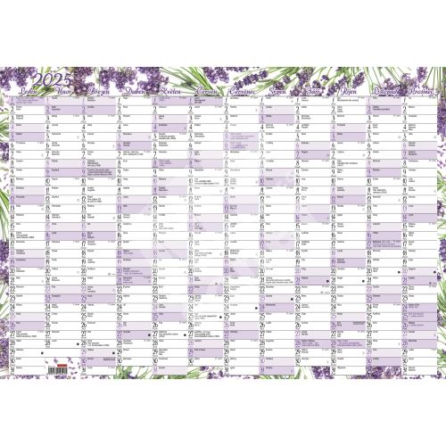Nástěnný roční kalendář (600x420 mm) - Levandule 1