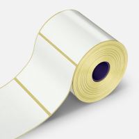 Samolepicí PP (polypropylen) etikety, 50x40mm, 2000ks, pro TTR, žluté, role
