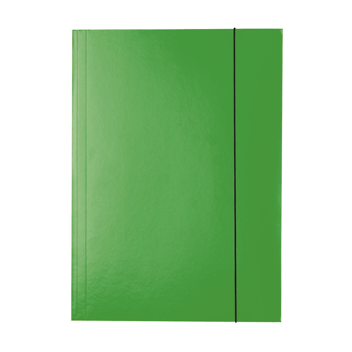 Lesklé kartonové desky Esselte A4, 3 chlopně, gumička, zelená