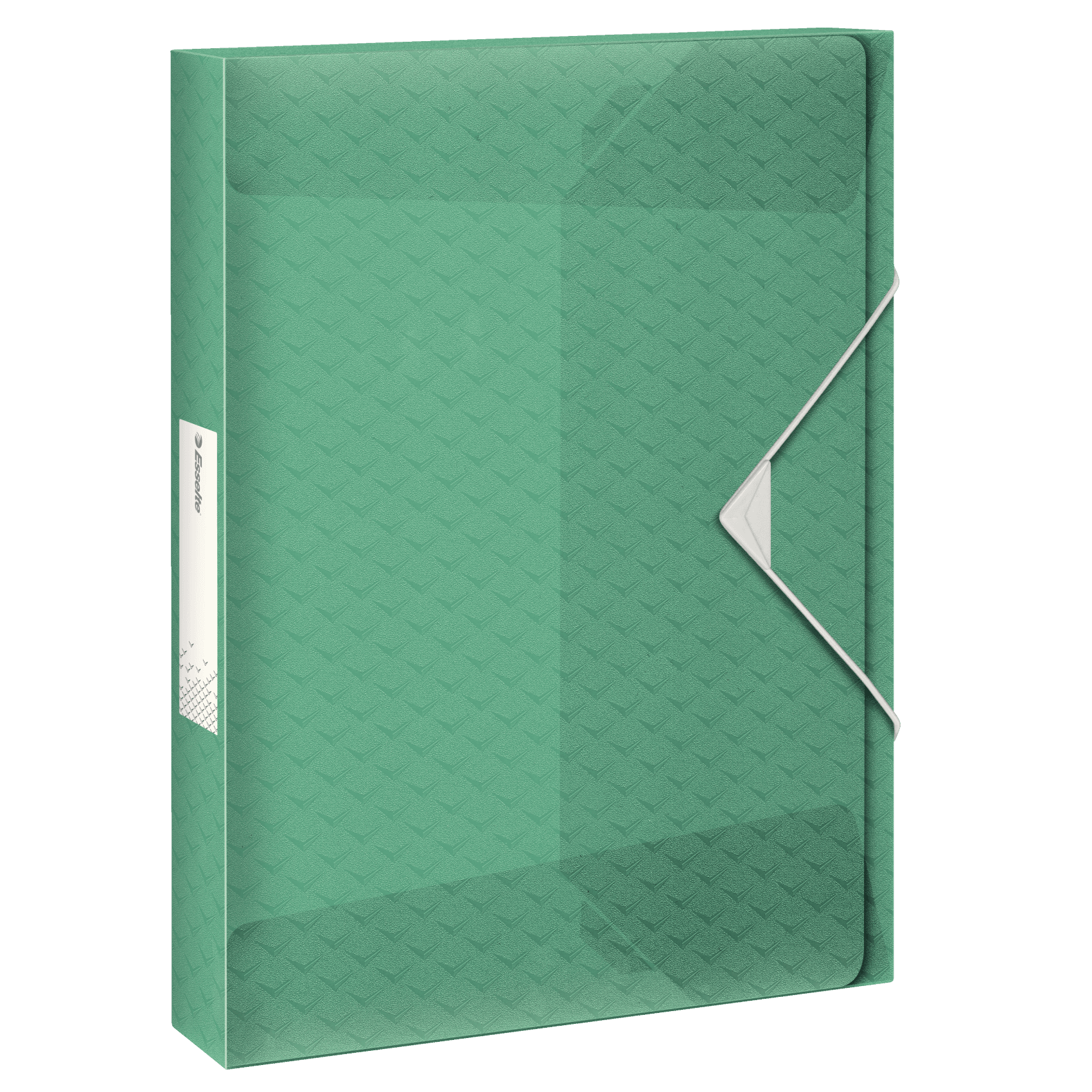 Box na spisy s gumičkou Esselte Colour'Ice, zelená, 25 mm, PP, A4