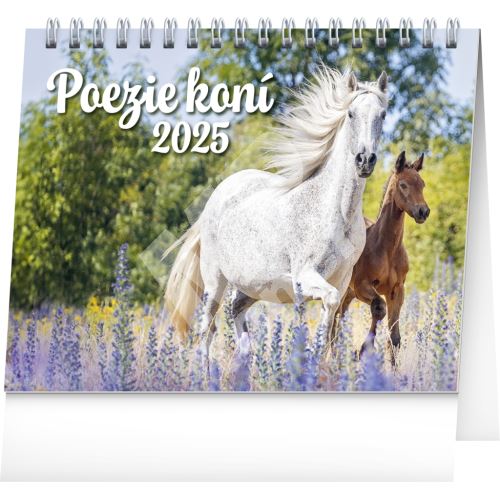 Stolní kalendář Notique Poezie koní 2025, 16,5 x 13 cm 1