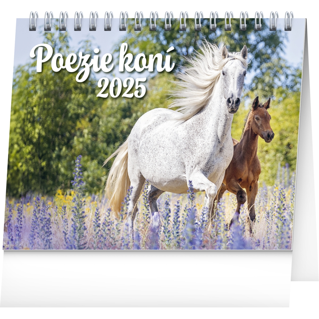 Stolní kalendář Notique Poezie koní 2025, 16,5 x 13 cm