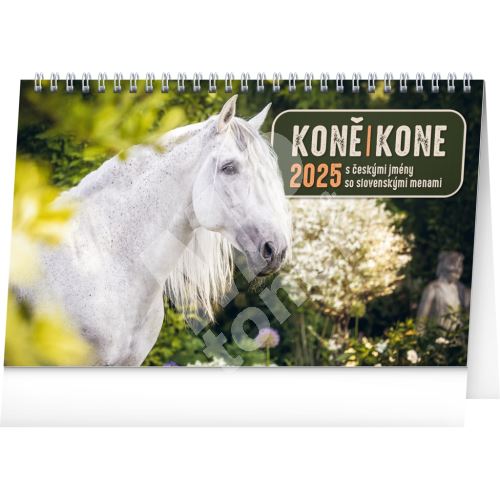 Stolní kalendář Notique Koně, CZ/SK 2025, 23,1 x 14,5 cm 1