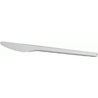 Plastový nůž 175 mm (100)
