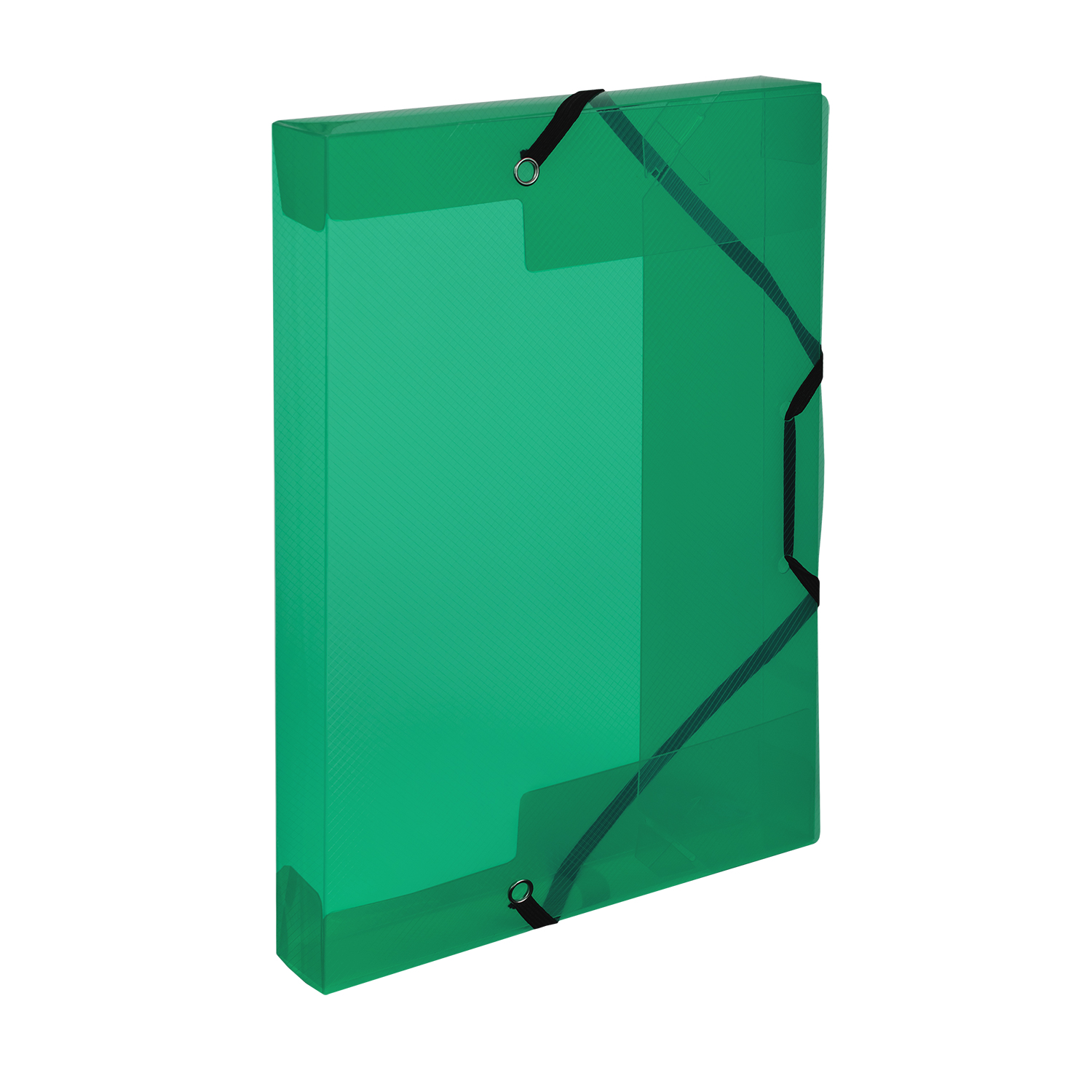 Krabice na spisy A5 s gumou Lines, zelená