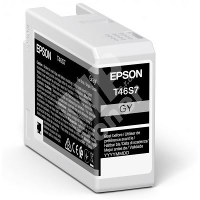 Inkoustová cartridge Epson C13T46S700, SC-P700, gray, originál 1