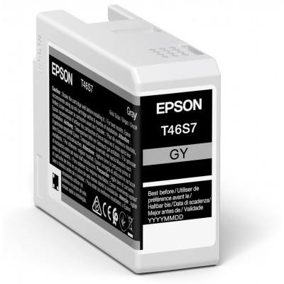 Inkoustová cartridge Epson C13T46S700, SC-P700, gray, originál