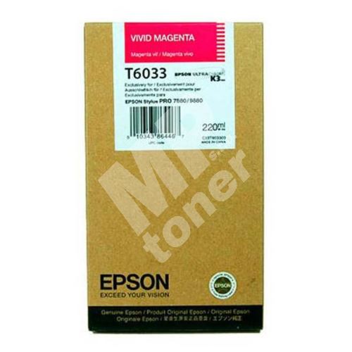 Cartridge Epson C13T603300, originál 1