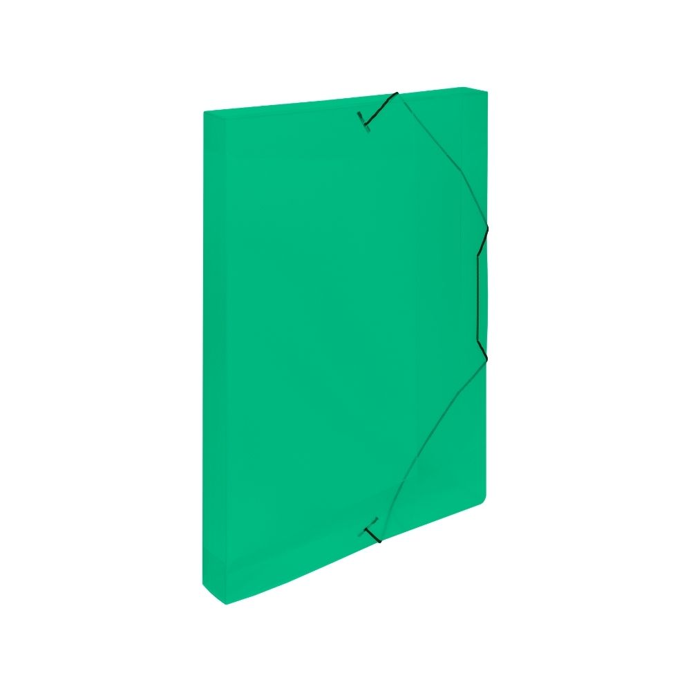 Krabice na spisy A4 s gumou Lines, zelená