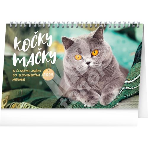 Stolní kalendář Notique Kočky, CZ/SK 2025, 23,1 x 14,5 cm 1