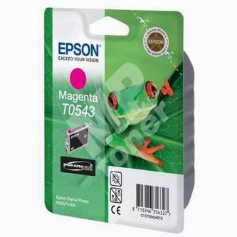 Cartridge Epson C13T054340, originál 1