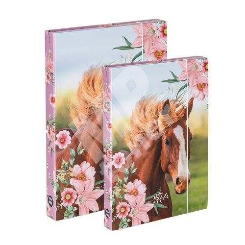 Box A4+A5 Kůň, Flowers 1