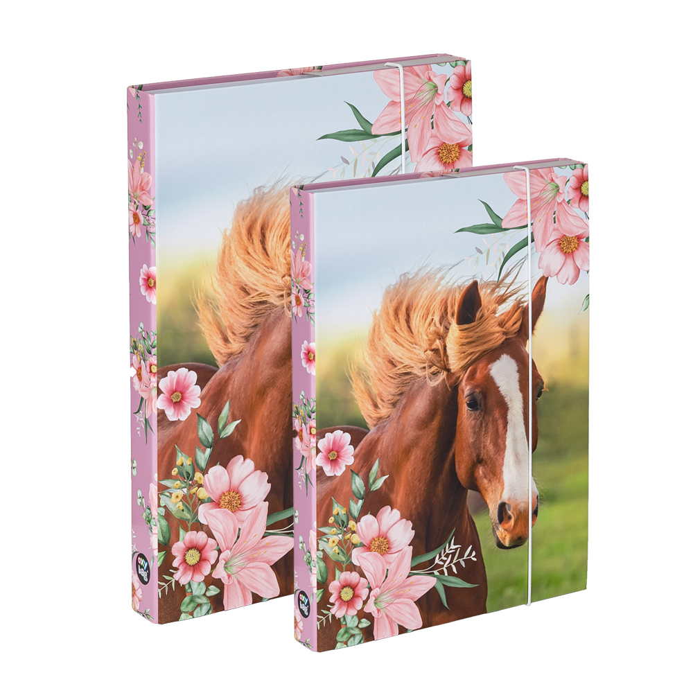 Box A4+A5 Kůň, Flowers