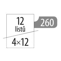 Dahle skartovač PaperSAFE 260, 4x12mm 10 (10)