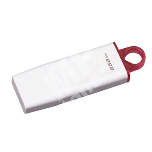 256GB Kingston DataTraveler Exodia USB flash disk 3.0, USB A, bílá 1