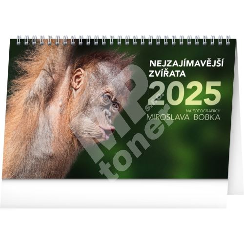 Stolní kalendář Notique Nejzajímavější zvířata 2025, 23,1 x 14,5 cm 1