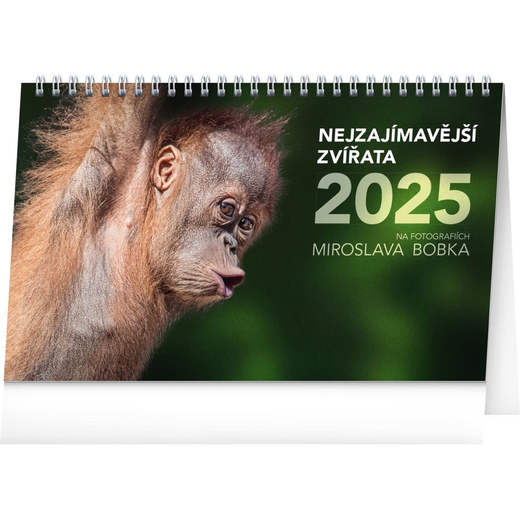 Stolní kalendář Notique Nejzajímavější zvířata 2025, 23,1 x 14,5 cm